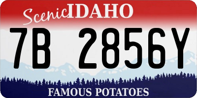 ID license plate 7B2856Y