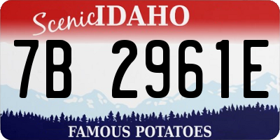 ID license plate 7B2961E