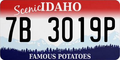 ID license plate 7B3019P