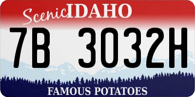 ID license plate 7B3032H