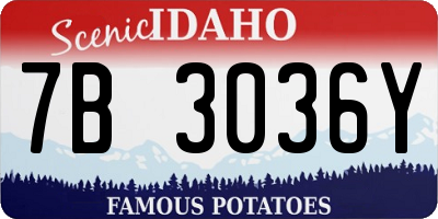 ID license plate 7B3036Y