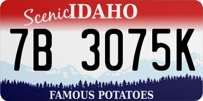 ID license plate 7B3075K