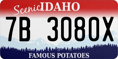 ID license plate 7B3080X