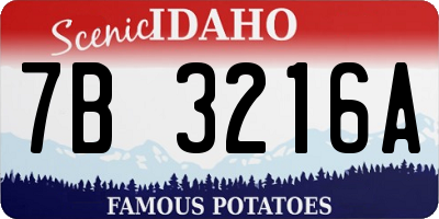 ID license plate 7B3216A