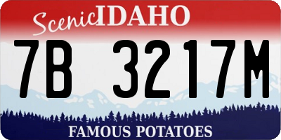 ID license plate 7B3217M
