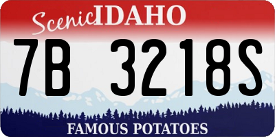 ID license plate 7B3218S