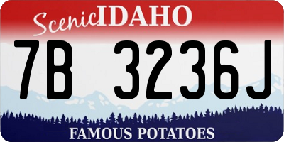 ID license plate 7B3236J