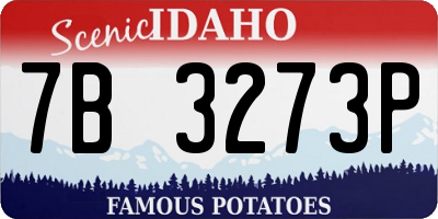 ID license plate 7B3273P
