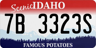 ID license plate 7B3323S