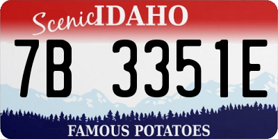 ID license plate 7B3351E
