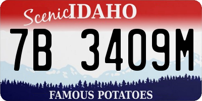 ID license plate 7B3409M