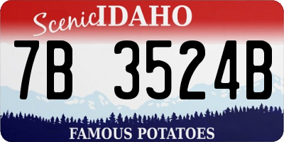 ID license plate 7B3524B