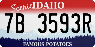 ID license plate 7B3593R