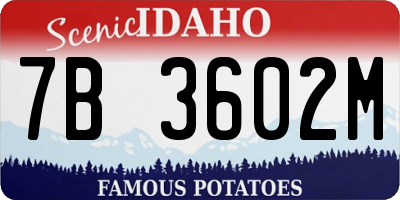 ID license plate 7B3602M