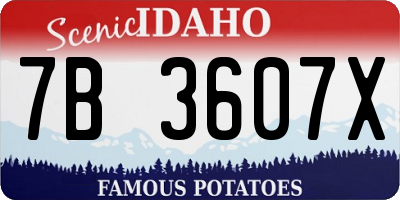 ID license plate 7B3607X