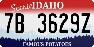 ID license plate 7B3629Z