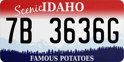 ID license plate 7B3636G