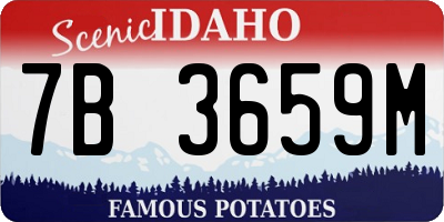 ID license plate 7B3659M