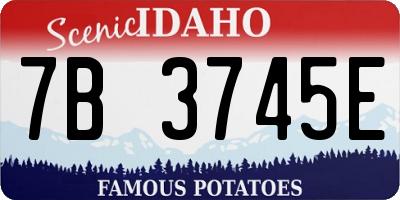 ID license plate 7B3745E