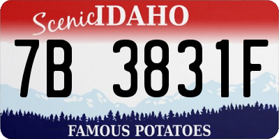 ID license plate 7B3831F