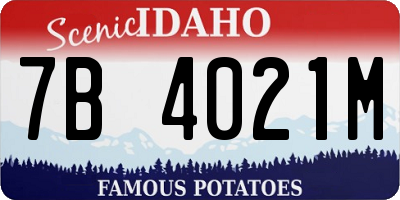 ID license plate 7B4021M