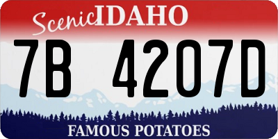 ID license plate 7B4207D