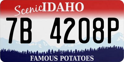 ID license plate 7B4208P