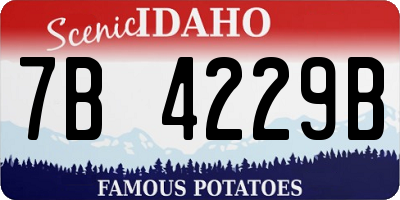 ID license plate 7B4229B