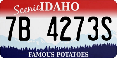 ID license plate 7B4273S