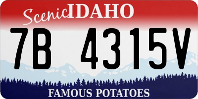 ID license plate 7B4315V