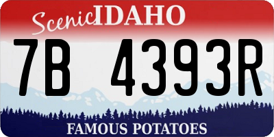 ID license plate 7B4393R