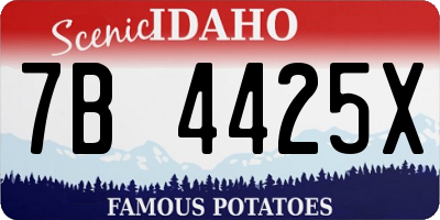 ID license plate 7B4425X