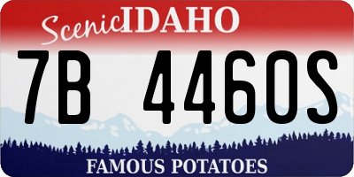 ID license plate 7B4460S
