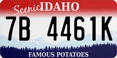 ID license plate 7B4461K
