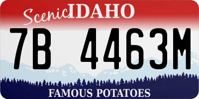 ID license plate 7B4463M