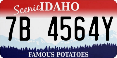 ID license plate 7B4564Y