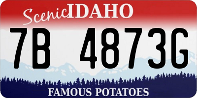 ID license plate 7B4873G