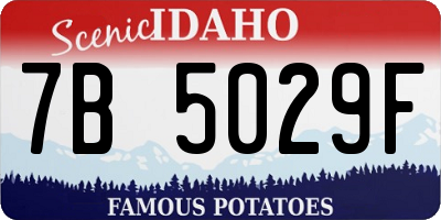 ID license plate 7B5029F