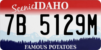 ID license plate 7B5129M