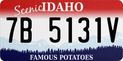 ID license plate 7B5131V