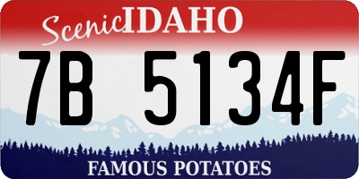 ID license plate 7B5134F