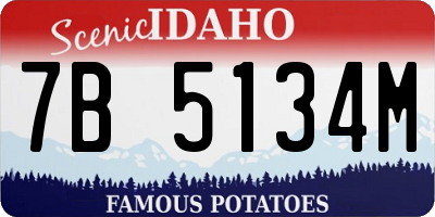ID license plate 7B5134M