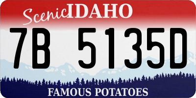 ID license plate 7B5135D