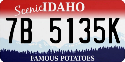 ID license plate 7B5135K