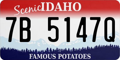 ID license plate 7B5147Q