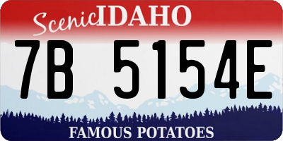 ID license plate 7B5154E