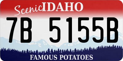 ID license plate 7B5155B