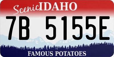 ID license plate 7B5155E
