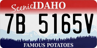 ID license plate 7B5165V