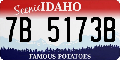 ID license plate 7B5173B